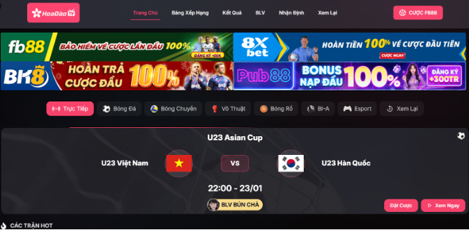 Giới thiệu thông tin tổng quan về Hoa Đào TV 